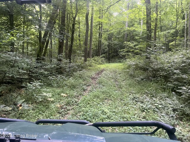 0 Green Hollow Rd, Raywick, KY 40060 - photo 9