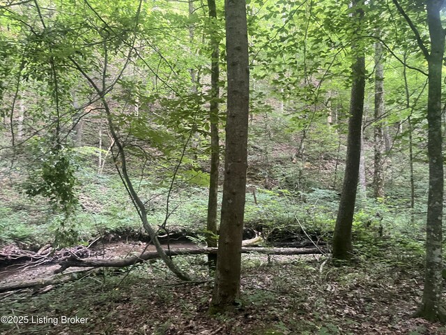 0 Green Hollow Rd, Raywick, KY 40060 - photo 17
