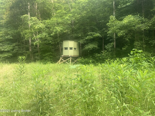 0 Green Hollow Rd, Raywick, KY 40060 - photo 10