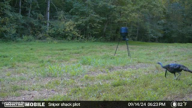 0 Green Hollow Rd, Raywick, KY 40060 - photo 16