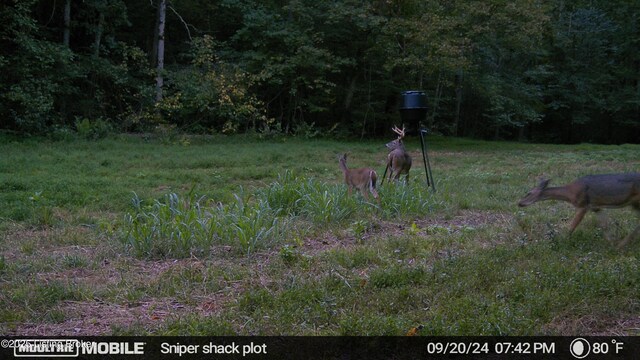 0 Green Hollow Rd, Raywick, KY 40060 - photo 15