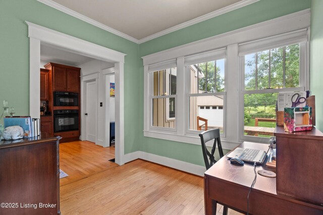 243 Pennsylvania Ave, Louisville, KY 40206 - photo 9