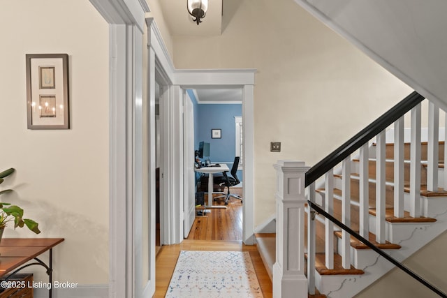 243 Pennsylvania Ave, Louisville, KY 40206 - photo 5