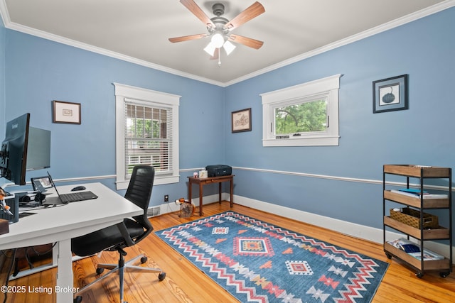 243 Pennsylvania Ave, Louisville, KY 40206 - photo 12