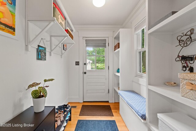 243 Pennsylvania Ave, Louisville, KY 40206 - photo 21