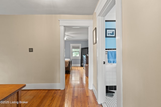 243 Pennsylvania Ave, Louisville, KY 40206 - photo 24