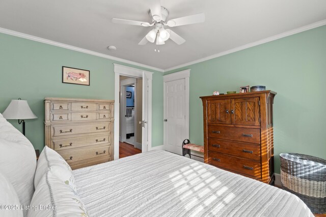 243 Pennsylvania Ave, Louisville, KY 40206 - photo 31