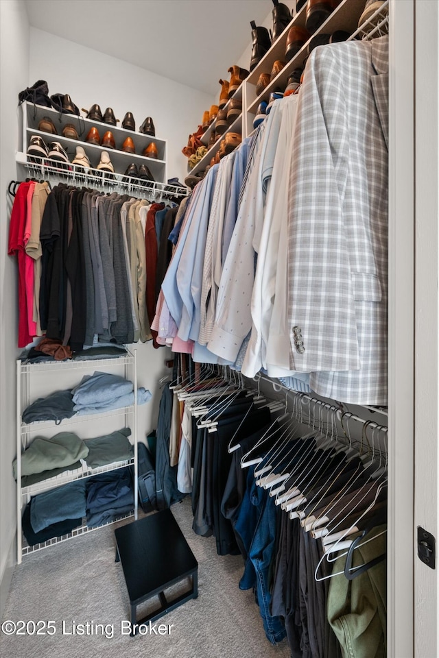 6511 Rosecliff Ct, Prospect, KY 40059 - walk in closet featuring carpet
