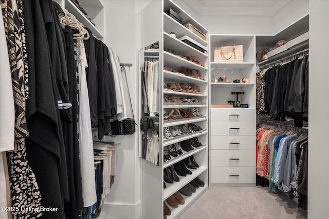 6511 Rosecliff Ct, Prospect, KY 40059 - walk in closet with carpet