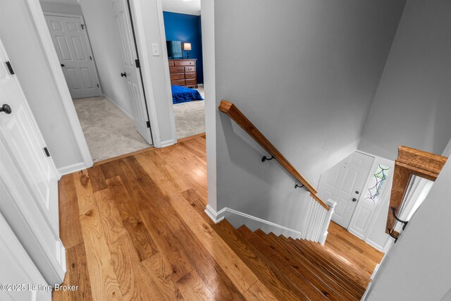 10301 Plains Ct, Louisville, KY 40223 - photo 31