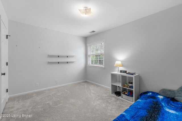 10301 Plains Ct, Louisville, KY 40223 - photo 38