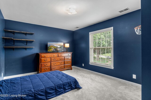 10301 Plains Ct, Louisville, KY 40223 - photo 40
