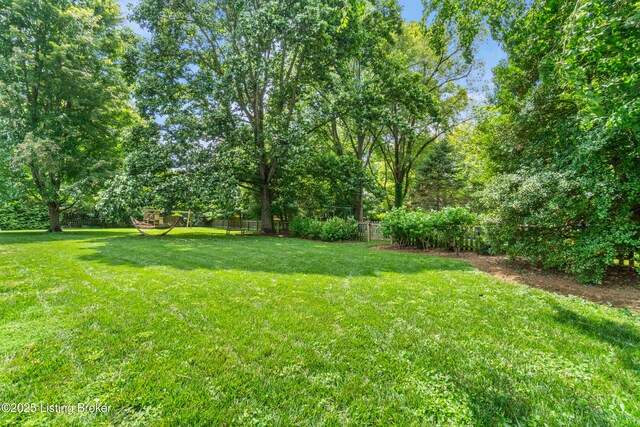 10301 Plains Ct, Louisville, KY 40223 - photo 57