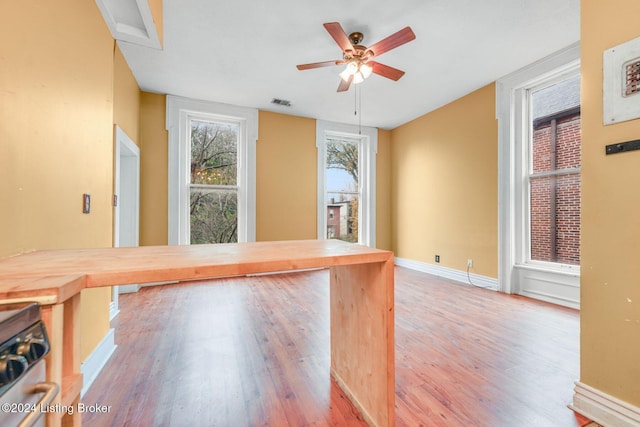 1131 S Brook St Apt 3, Louisville, KY 40203 - interior space with wood finished floors and a ceiling fan