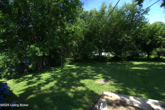 10104 Nanka Rd, Louisville, KY 40272 - view of yard
