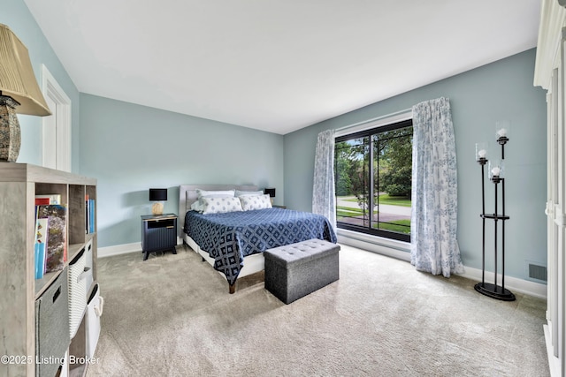 2607 Ballantrae Cir, Louisville, KY 40242 - photo 24