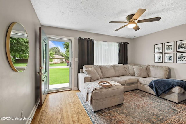 8433 Chase Rd, Louisville, KY 40258 - living area featuring a ceiling fan, a textured ceiling, and wood finished floors