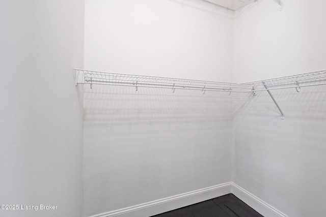 631 Lynn St, Louisville, KY 40217 - view of walk in closet