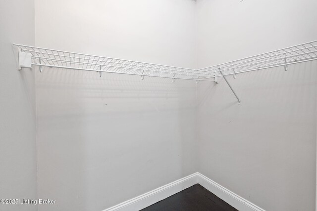631 Lynn St, Louisville, KY 40217 - view of spacious closet