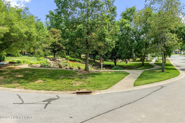 912 Artisan Pkwy, La Grange, KY 40031 - photo 61