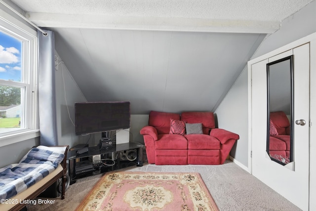 9903 Ponder Ln, Louisville, KY 40272 - living room with carpet floors and a textured ceiling