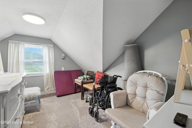 9903 Ponder Ln, Louisville, KY 40272 - bonus room featuring vaulted ceiling, carpet, and a textured ceiling