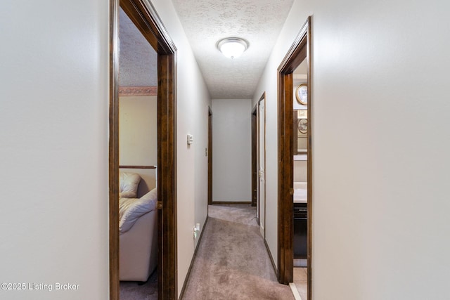 3900 San Marcos Rd, Louisville, KY 40299 - photo 20