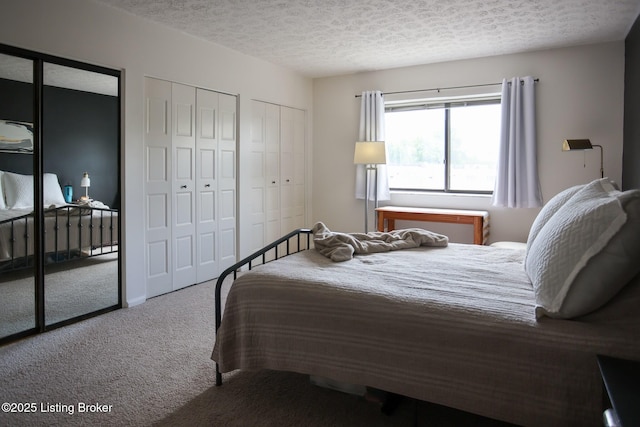4180 Lyndon Way Unit 409, Louisville, KY 40207 - bedroom featuring carpet flooring, multiple closets, and a textured ceiling