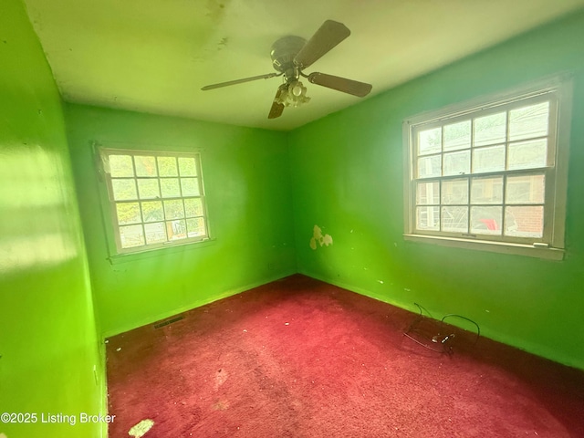 1206 Fairland Pl, Louisville, KY 40211 - photo 12