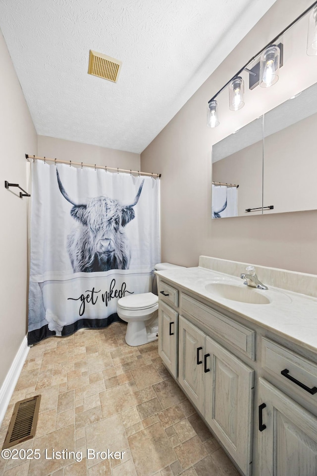 192 Loretto Rd, Springfield, KY 40069 - full bathroom with vanity, stone finish flooring, a textured ceiling, and curtained shower
