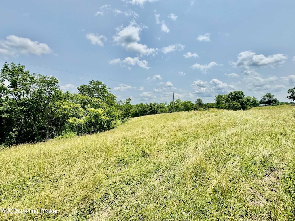 3 Baker Ridge Rd, Willisburg, KY 40078 - photo 2
