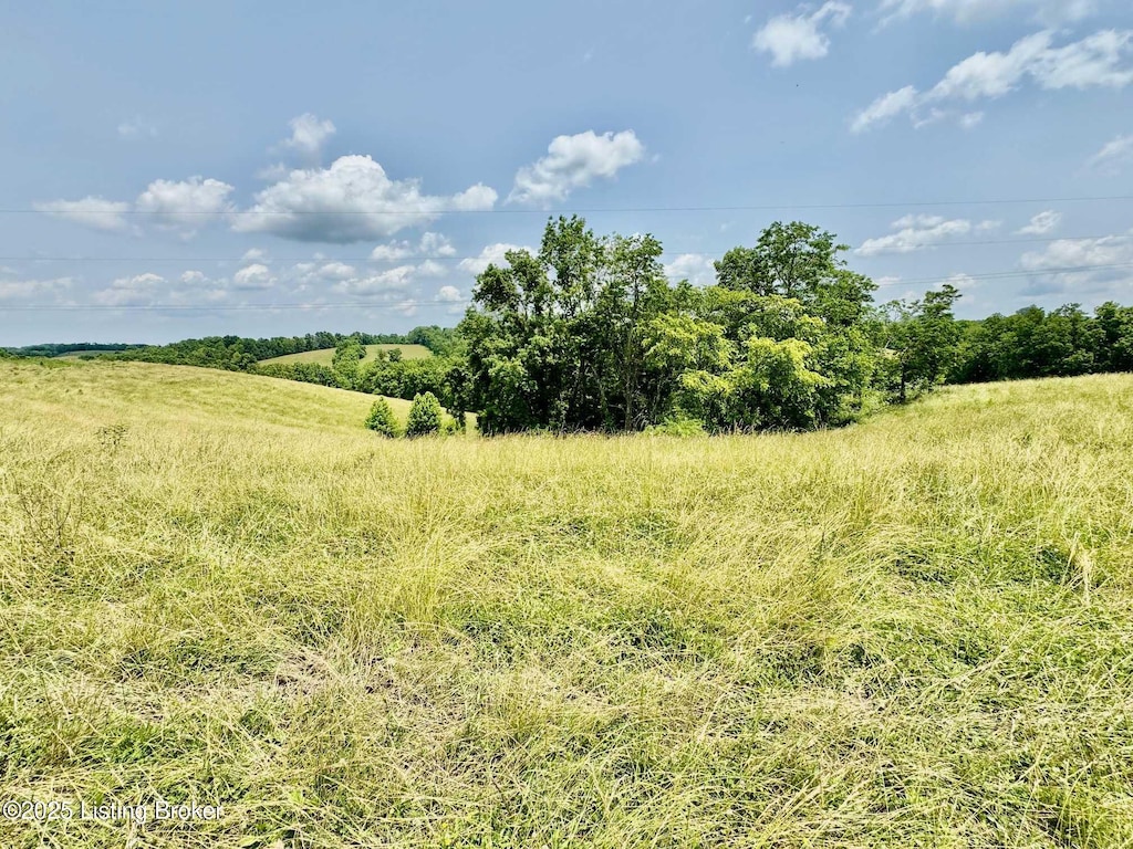 3 Baker Ridge Rd, Willisburg, KY 40078 - photo 3