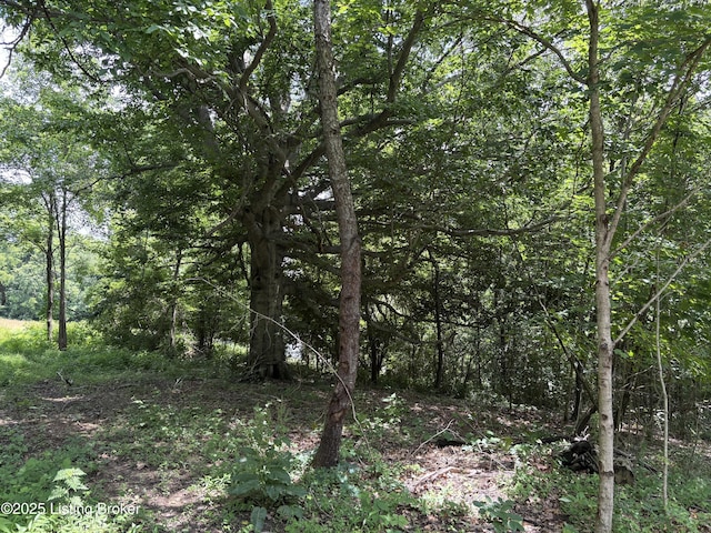 6401 New Cut Rd, Crestwood, KY 40014 - photo 4