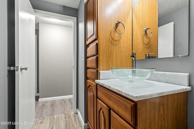 3619 Endeavor Way, Louisville, KY 40219 - bathroom with vanity, a textured ceiling, and wood finished floors