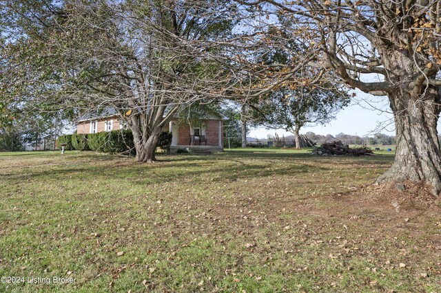 1849 N Jackson Hwy, Hardyville, KY 42746 - photo 4