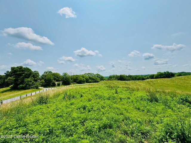 7 Battle Rd, Mackville, KY 40040 - photo 5