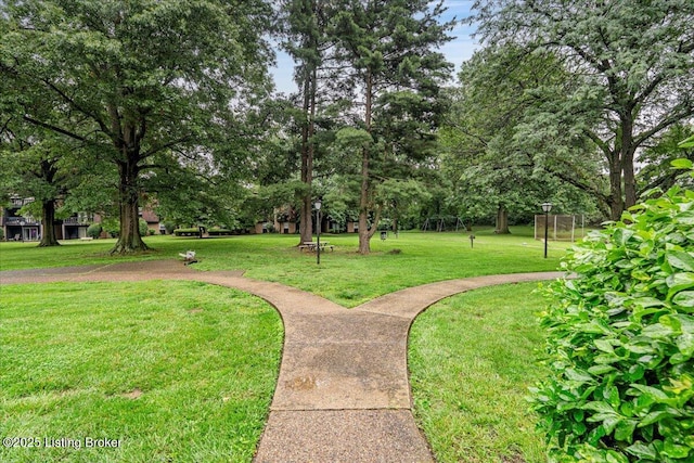 3507 Lodge Ln Unit 316, Louisville, KY 40218 - photo 16