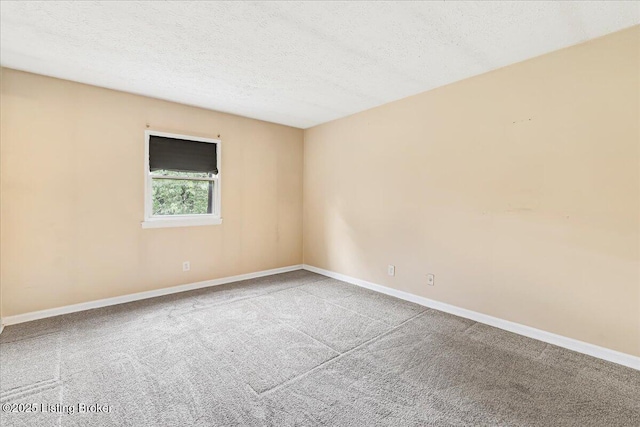 3507 Lodge Ln Unit 316, Louisville, KY 40218 - photo 13