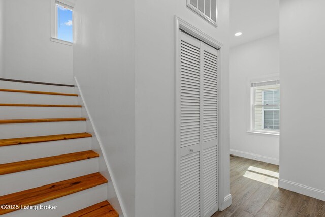 520 Lilly Ave, Louisville, KY 40217 - photo 21