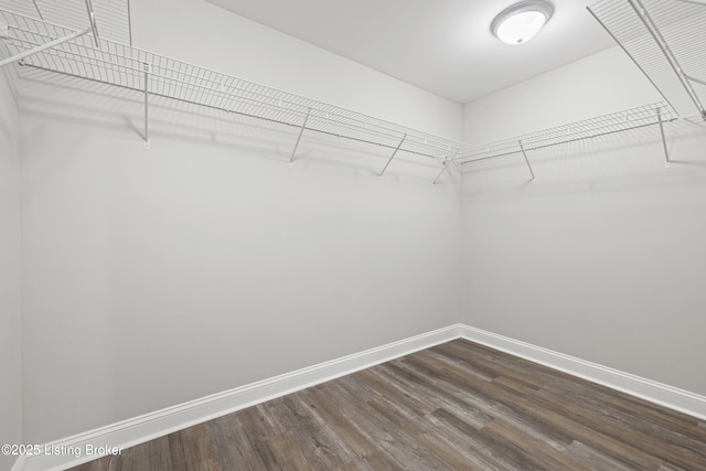 3020 Thorntree Ln, Lawrenceburg, KY 40342 - walk in closet with dark wood finished floors