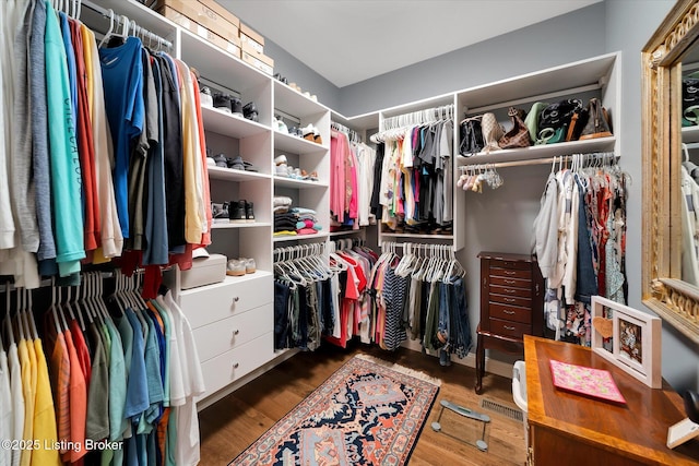 115 Christine Ct, Bardstown, KY 40004 - spacious closet featuring wood finished floors