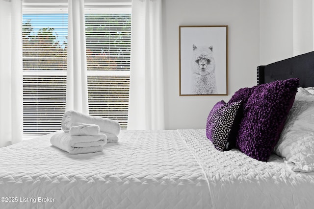 953 Baxter Ave Unit 101, Louisville, KY 40204 - view of bedroom