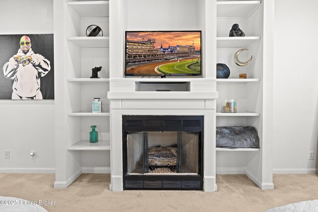 953 Baxter Ave Unit 101, Louisville, KY 40204 - detailed view of carpet, built in features, and a fireplace