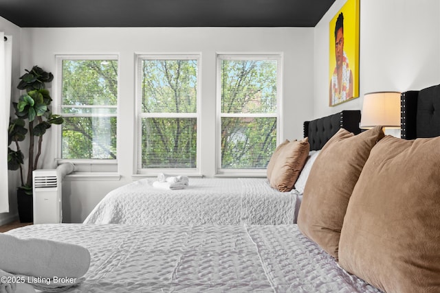953 Baxter Ave Unit 101, Louisville, KY 40204 - view of bedroom