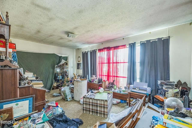 911 N Main St, Barbourville, KY 40906 - miscellaneous room featuring a textured ceiling and carpet