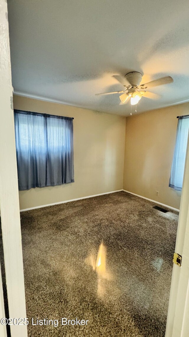 2919 Garey Ln, Louisville, KY 40216 - photo 10
