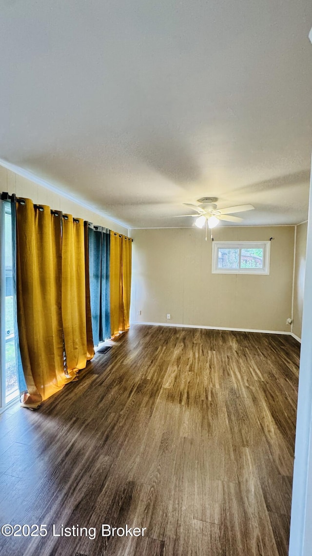2919 Garey Ln, Louisville, KY 40216 - photo 5