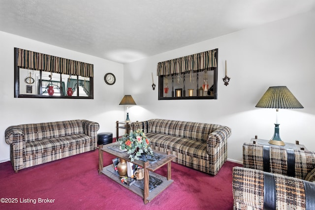 11003 Thunder Dr, Louisville, KY 40272 - living room with carpet flooring and baseboards