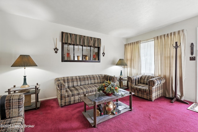 11003 Thunder Dr, Louisville, KY 40272 - living area with carpet flooring