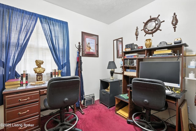 11003 Thunder Dr, Louisville, KY 40272 - office featuring dark colored carpet